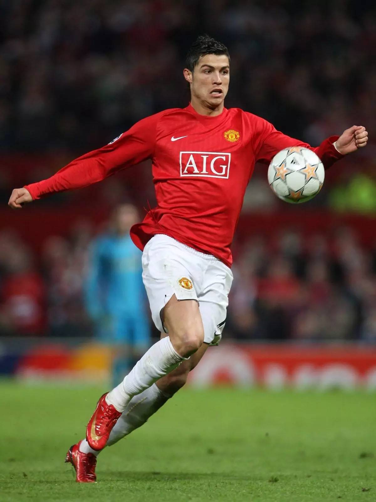 丰富的内容 丰富的内容