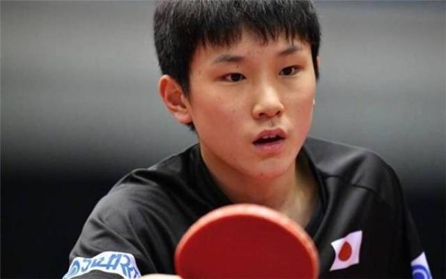 仅展现了利 仅展现了利