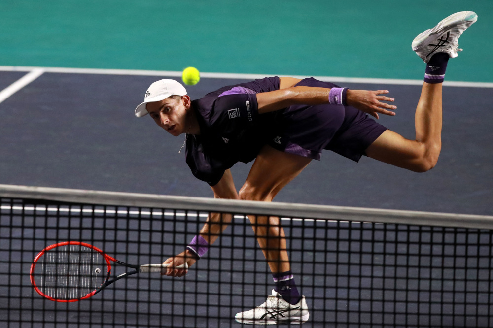 自然呈现 自然呈现