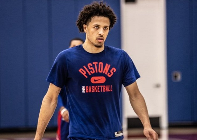 力为底色的 力为底色的